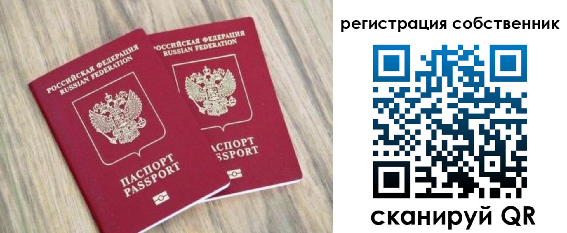 прописка ребенка в Сланцах